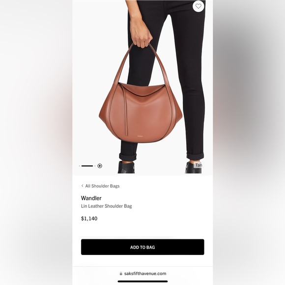 Perfect Wandler Lin bag! - Picture 9 of 9